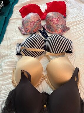 Women’s 5-Pack Mixed Bra Set — Gris , Gold, Navy Stripe, Pink Floral, red. 38C